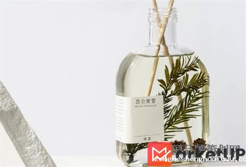 观夏香薰营销策划方案(图1) 观夏香薰营销方案