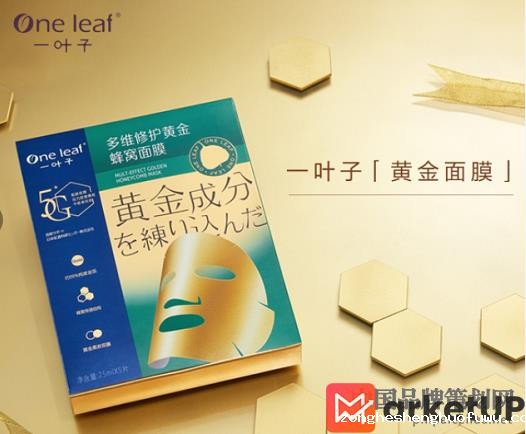 一叶子品牌营销案例(图3) 一叶子品牌营销案例,一叶子品牌营销,一叶子营销案例