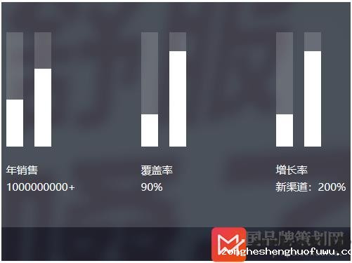 金嗓子二次品牌定位案例_顾均辉战略定位案例(图2) 品牌定位,战略定位,金嗓子二次品牌定位