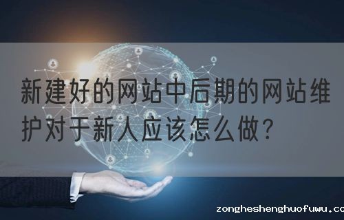 新建好的网站中后期的网站维护对于新人应该怎么做？(图1)