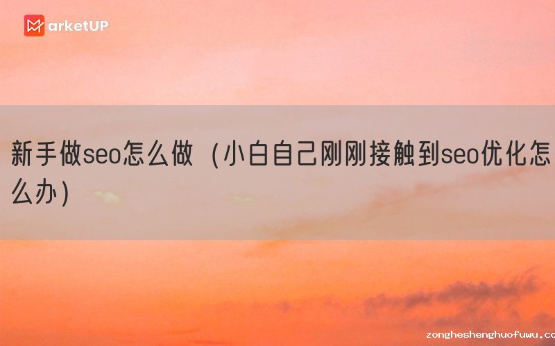 新手做seo怎么做（小白自己刚刚接触到seo优化怎么办）(图1)
