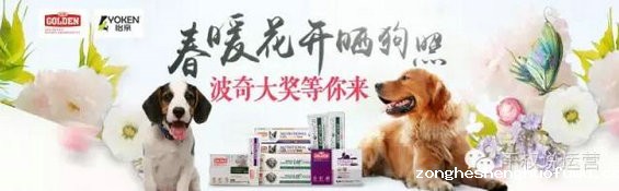 395 一份合格的活动banner页文案，应该讲清楚这3点！
