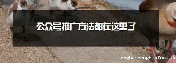 公众号推广方法都在这里了-新媒体运营推广6大策略 (图1) 公众号推广方法都在这里了-新媒体运营推广6大策略