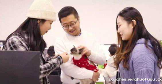1514 新猫粮团队如何用6万私域好友，做到GMV增速超300%？