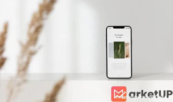7个小红书工具模型公开! (图1) 7个小红书工具模型公开!