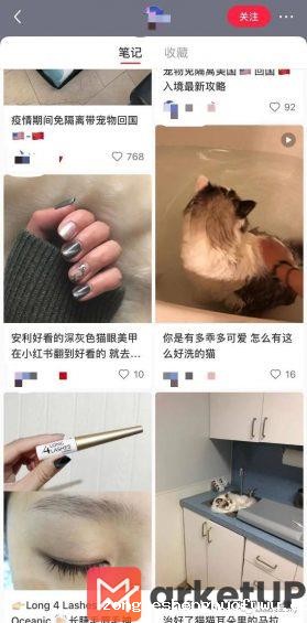  小红书1个月涨粉过万的账号原来都是这样做的……