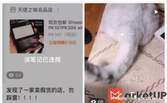 560 小红书Q&A|哪些行为容易被判违规？账号违规了该怎么办？