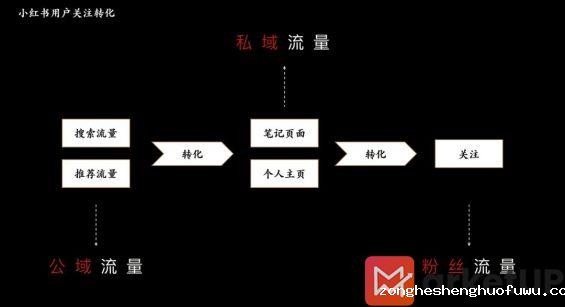 116 简单粗暴｜小红书怎么快速涨粉？
